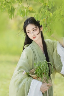 癫凤狂龙